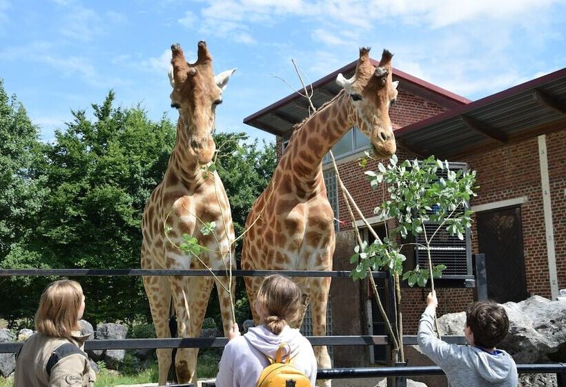 هتل Chambres D Hôte  L écureuil  Proche De Mons, Pairi Daiza, à Côté De Spark Oh