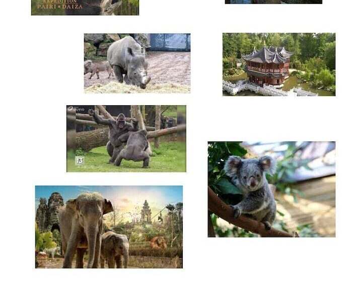 בית מלון כפרי Chambres D Hôte  L écureuil  Proche De Mons, Pairi Daiza, à Côté De Spark Oh