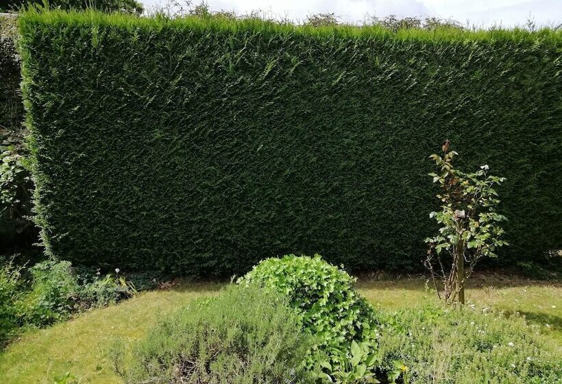 בית מלון כפרי Chambres D Hôte  L écureuil  Proche De Mons, Pairi Daiza, à Côté De Spark Oh