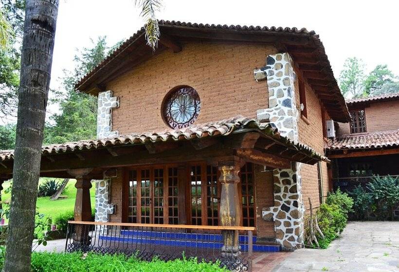 Отель Complejo Buenavista