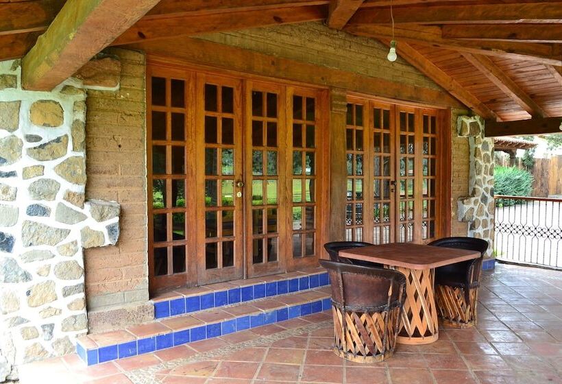 Отель Complejo Buenavista