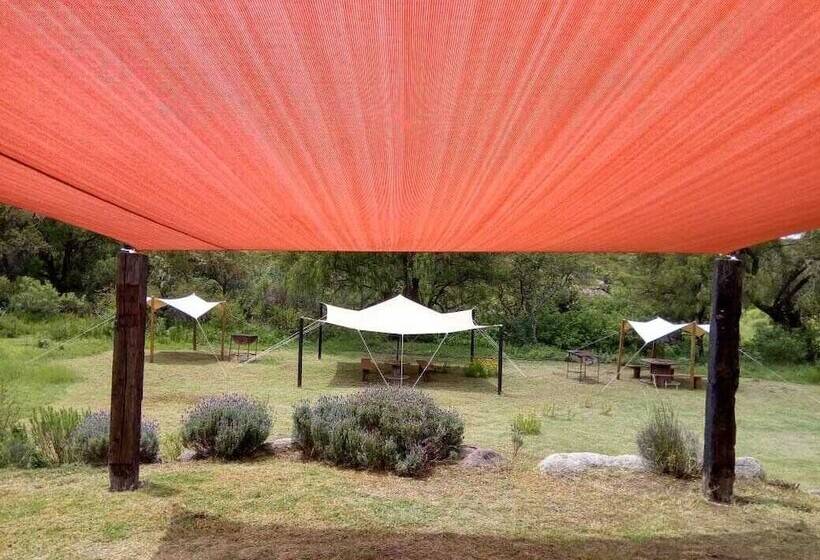 فندق Echological   Glamping