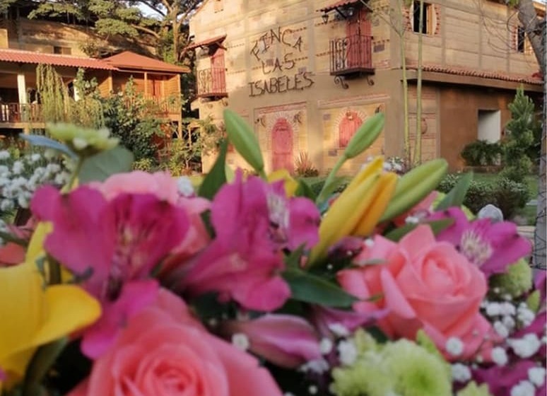 ホテル Finca Las Isabeles