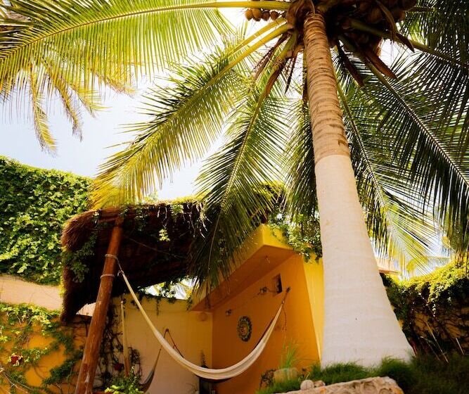 בית מלון כפרי Flamingos Inn