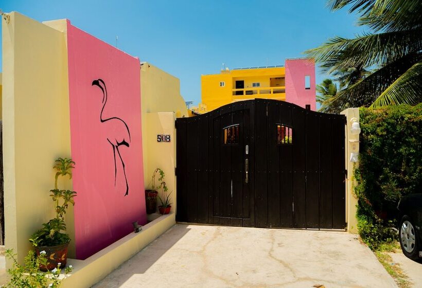 בית מלון כפרי Flamingos Inn