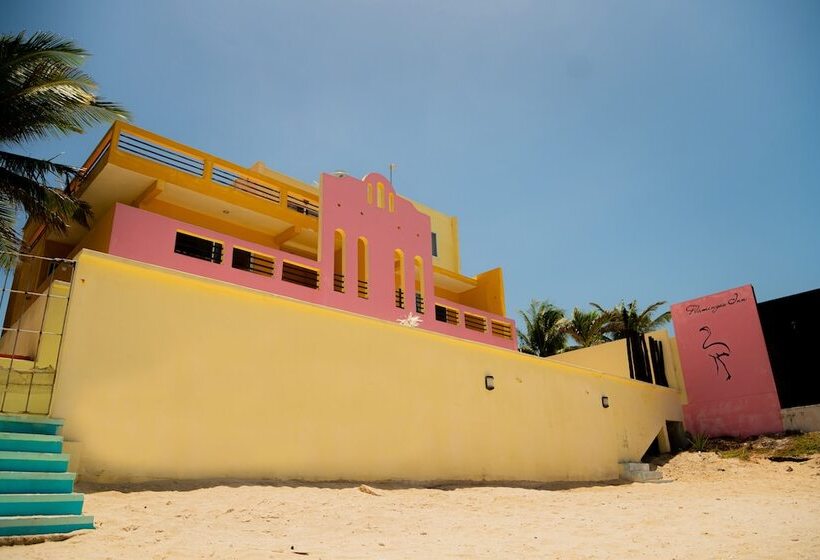 בית מלון כפרי Flamingos Inn