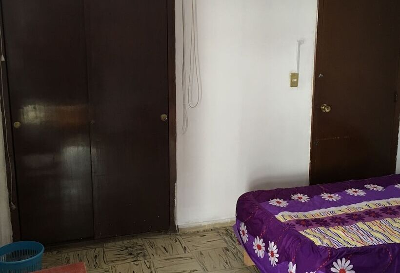 هتل Green House Hostal Hostel