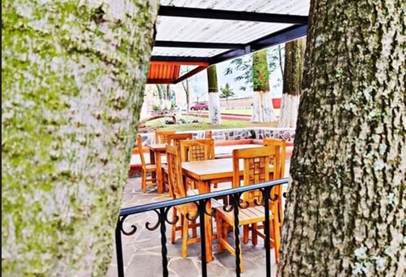 호텔 Hacienda Los Dolores   Hostel