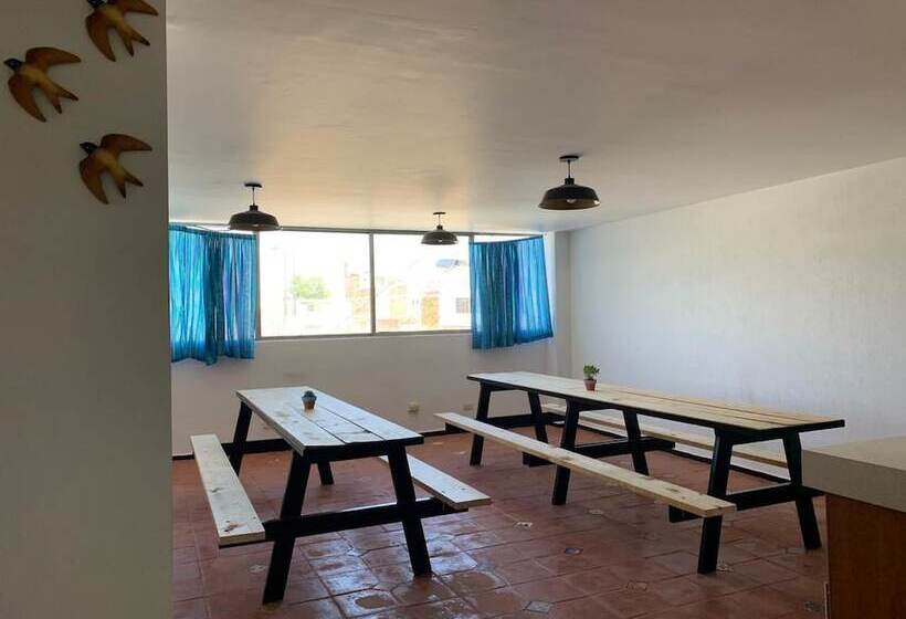 هتل Hostal Mejiquito San Marcos Hostel