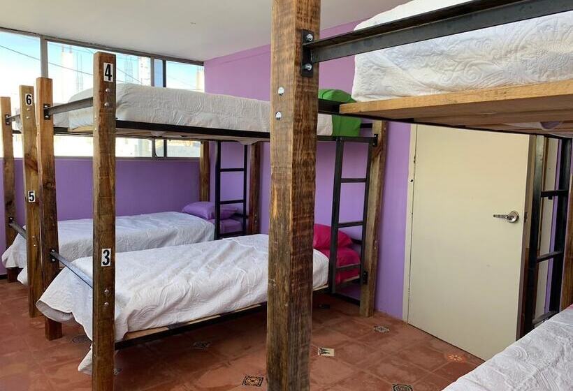 هتل Hostal Mejiquito San Marcos Hostel