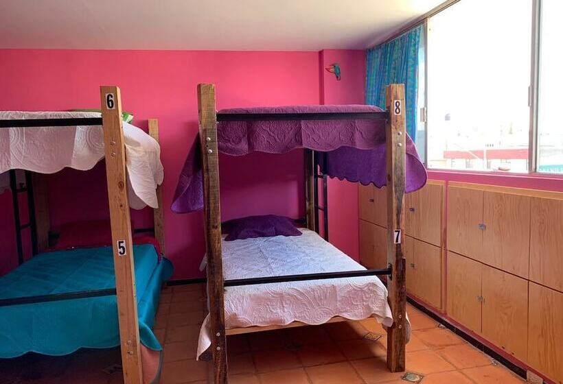 هتل Hostal Mejiquito San Marcos Hostel