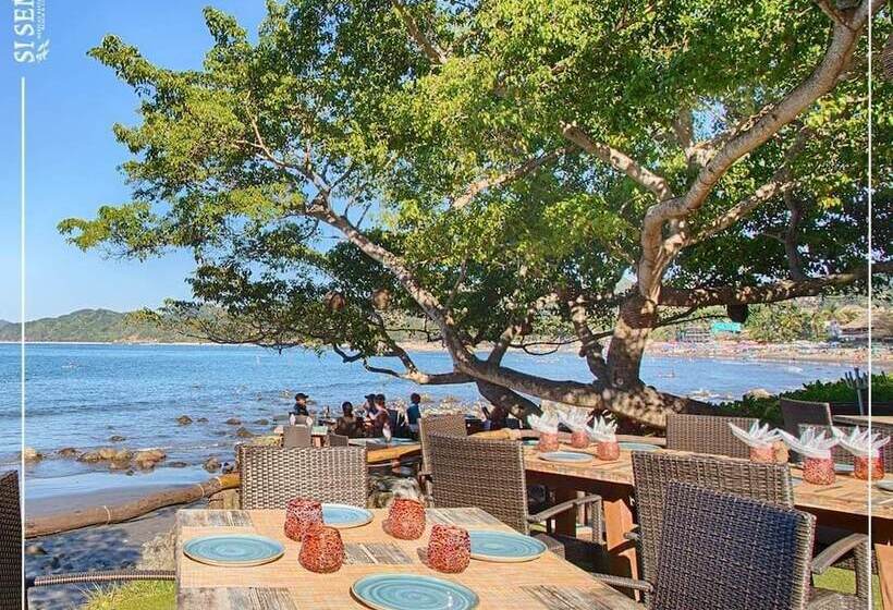 בית מלון כפרי Local Tribe De México