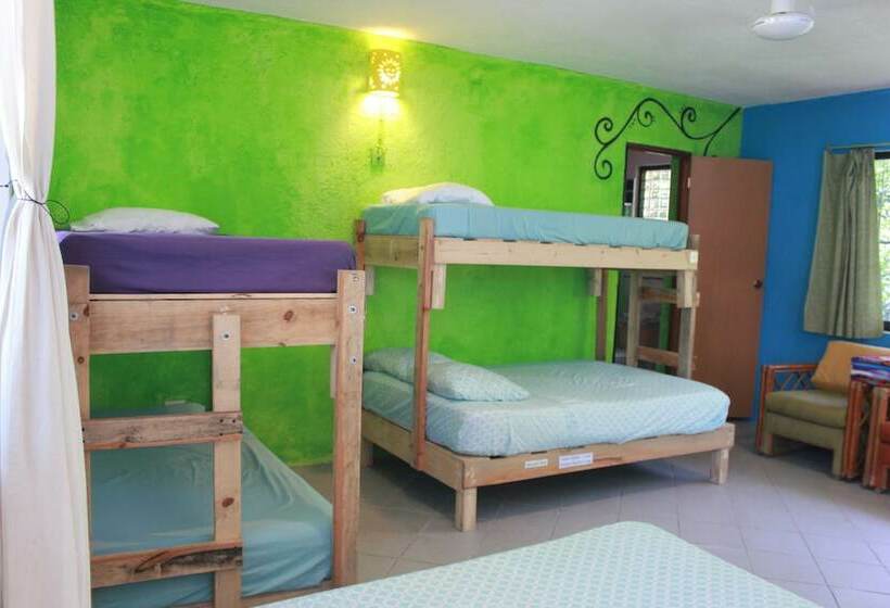 هتل Mangrove Inn Akumal