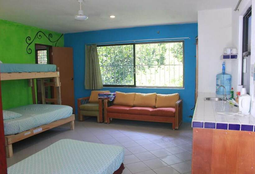 هتل Mangrove Inn Akumal