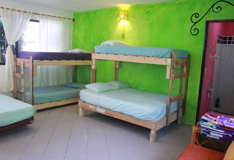 هتل Mangrove Inn Akumal