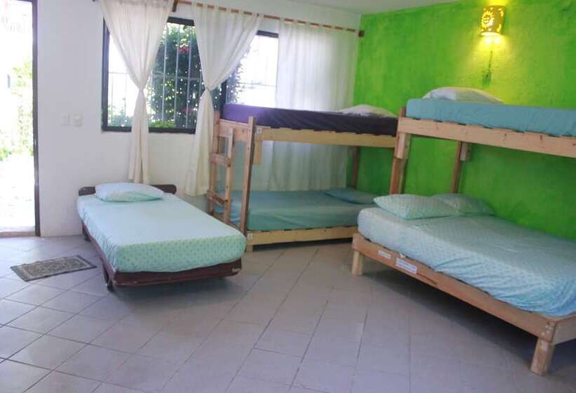 هتل Mangrove Inn Akumal