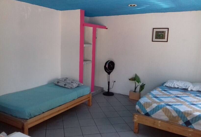 هتل Mangrove Inn Akumal