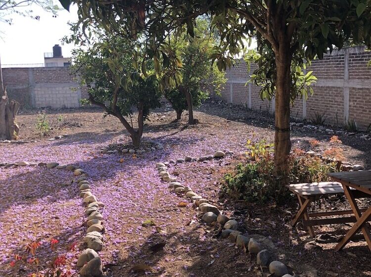 酒店 Oj Wayan Hostal