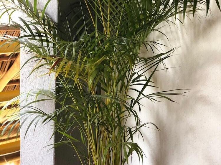 בית מלון כפרי Refugio Del Cielo #