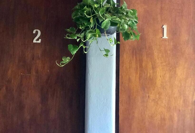 בית מלון כפרי Refugio Del Cielo #