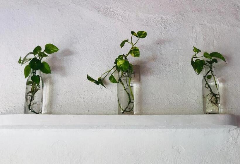 בית מלון כפרי Refugio Del Cielo #