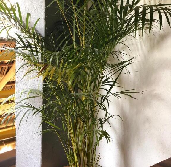 בית מלון כפרי Refugio Del Cielo #