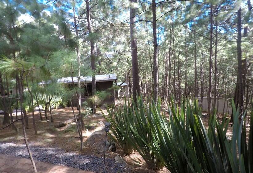 ホテル Rincón De María Mazamitla