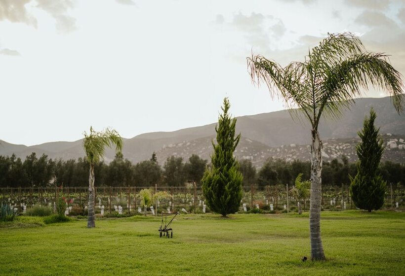 فندق Sueños Resort Valle De Guadalupe