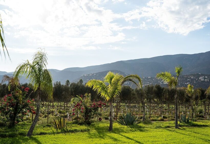 فندق Sueños Resort Valle De Guadalupe