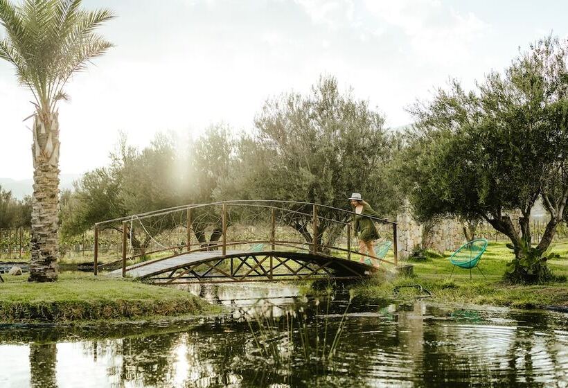 فندق Sueños Resort Valle De Guadalupe