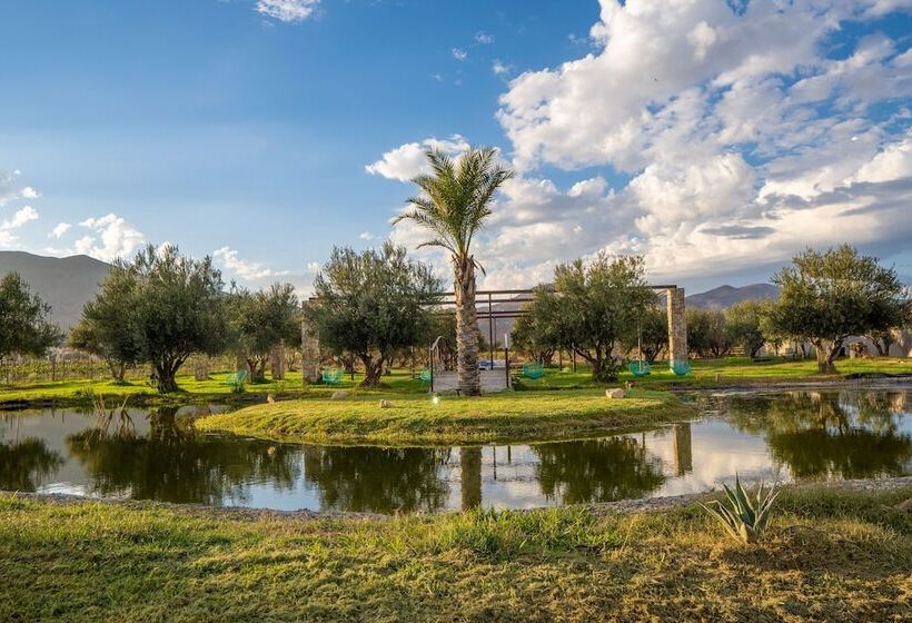 فندق Sueños Resort Valle De Guadalupe