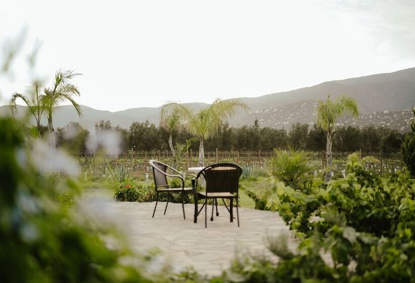 فندق Sueños Resort Valle De Guadalupe