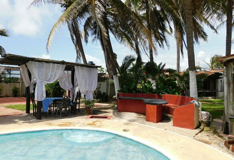 فندق Temazcal Spa Coquis By Rotamundos