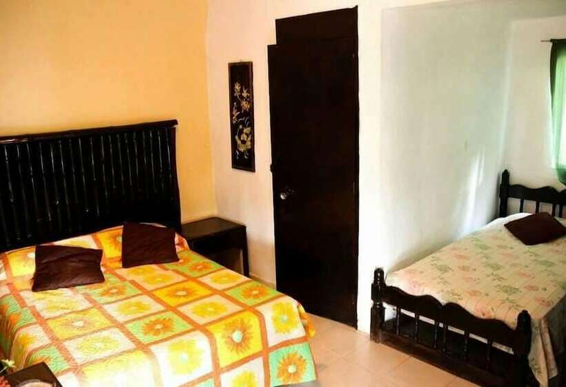 فندق Temazcal Spa Coquis By Rotamundos