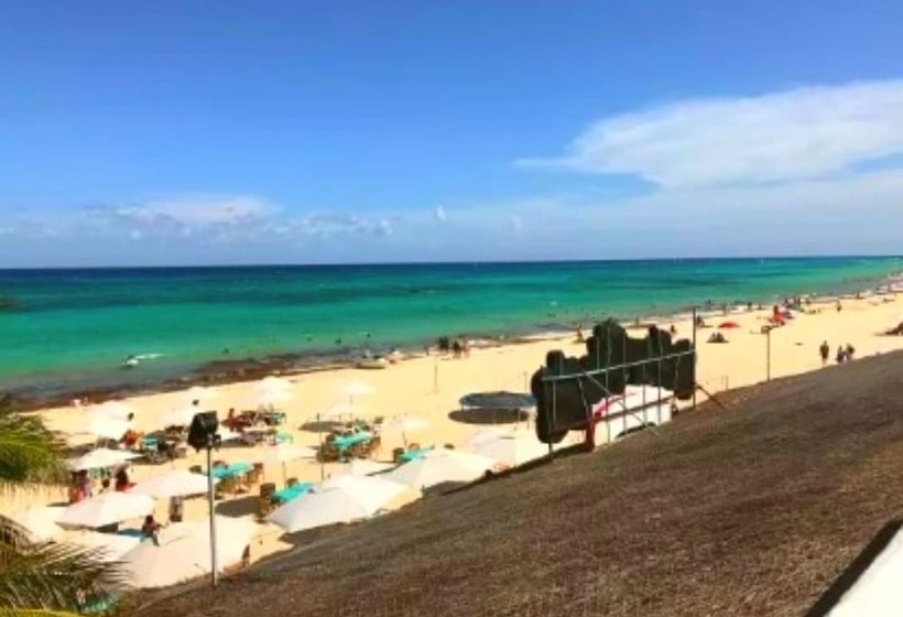 בית מלון כפרי Tribe On The Beach