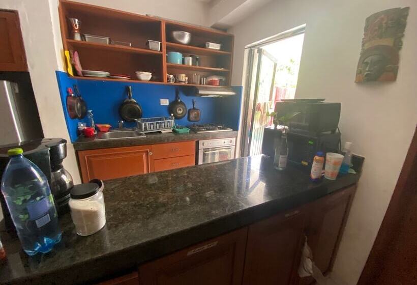 בית מלון כפרי Tribe On The Beach