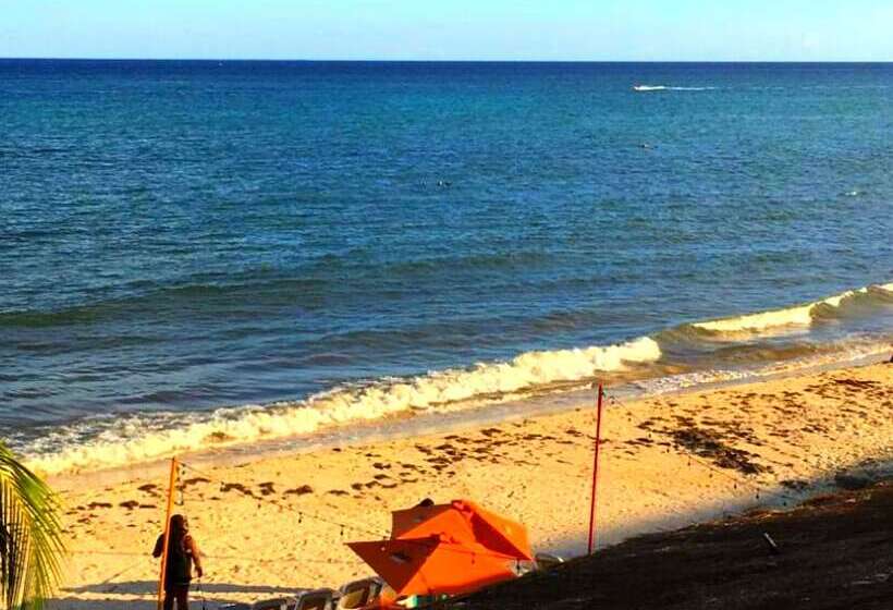 בית מלון כפרי Tribe On The Beach