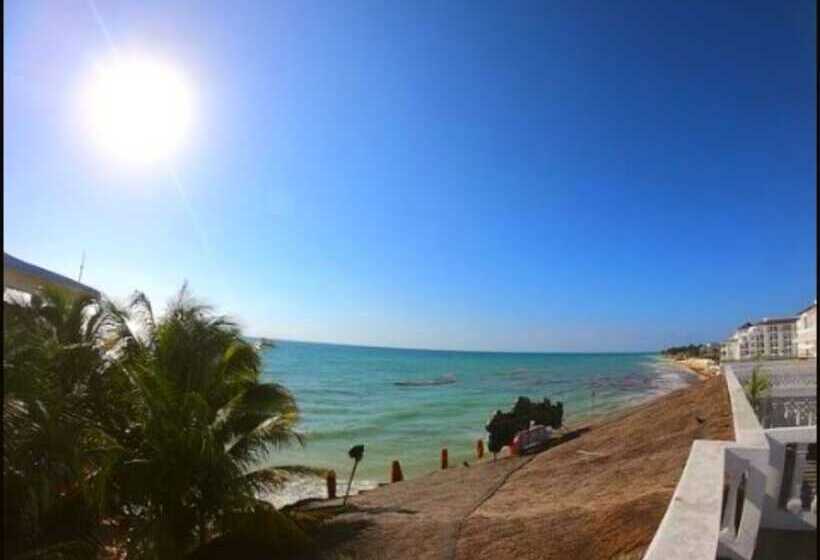 בית מלון כפרי Tribe On The Beach