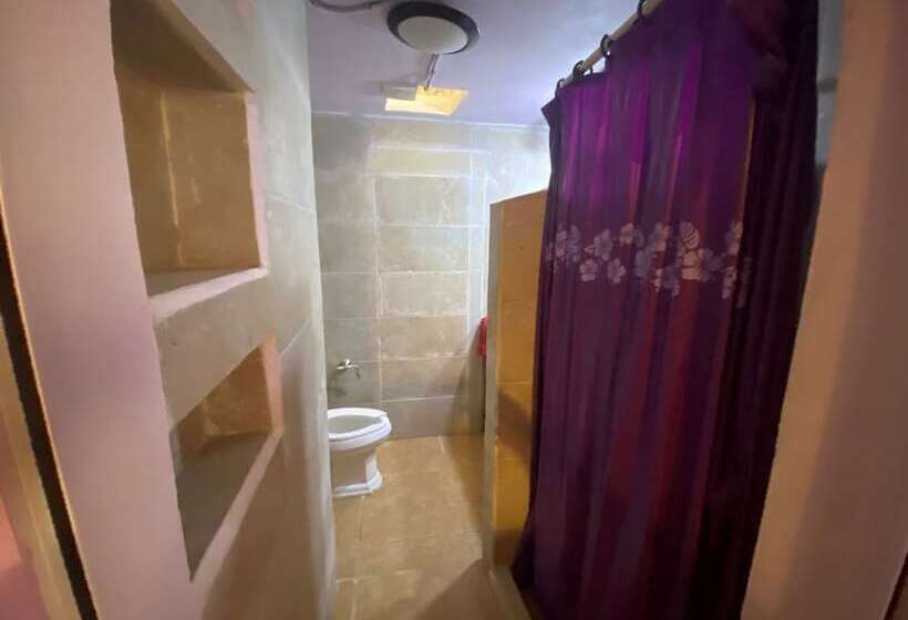 בית מלון כפרי Tribe On The Beach