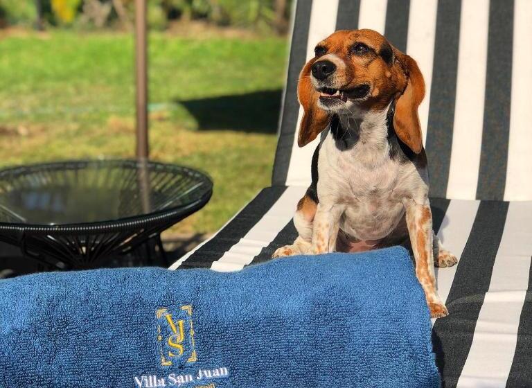 ホテル Villa San Juan Bed&breakfast