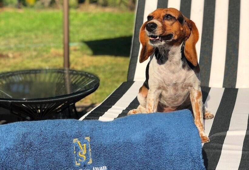 ホテル Villa San Juan Bed&breakfast