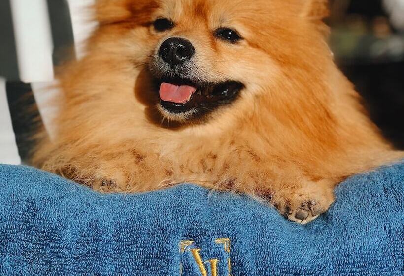 ホテル Villa San Juan Bed&breakfast