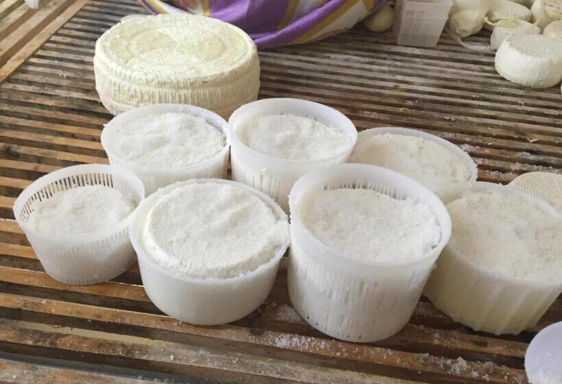 بنسيون Casa Nostra