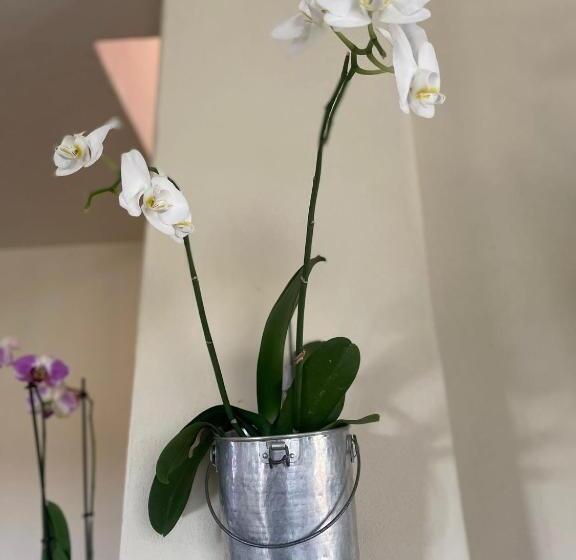 ベッドアンドブレックファースト Beb Montefratta