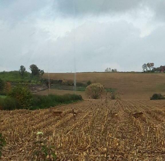 민박 L Eden Proche Du Zoo De Beauval De Saint Aignan