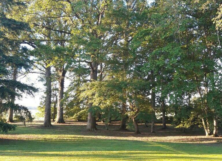 민박 L Eden Proche Du Zoo De Beauval De Saint Aignan