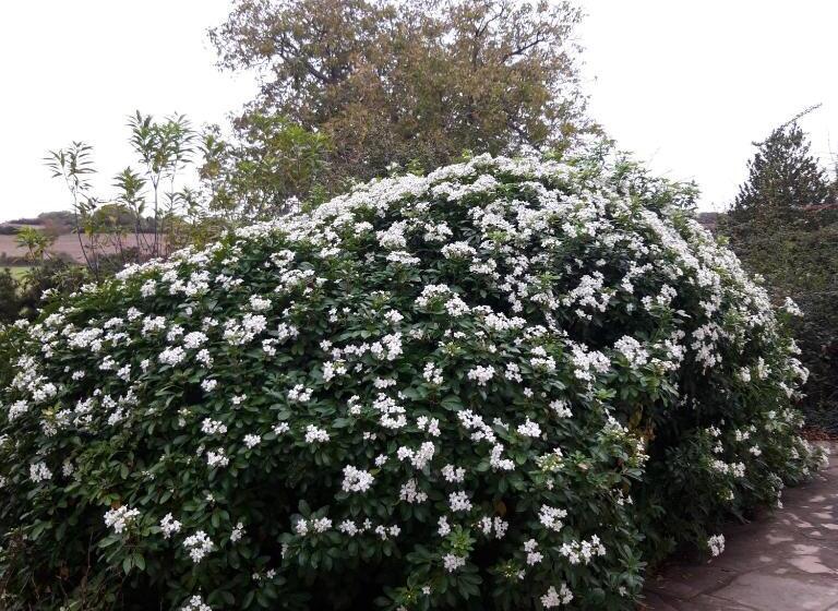 민박 L Eden Proche Du Zoo De Beauval De Saint Aignan