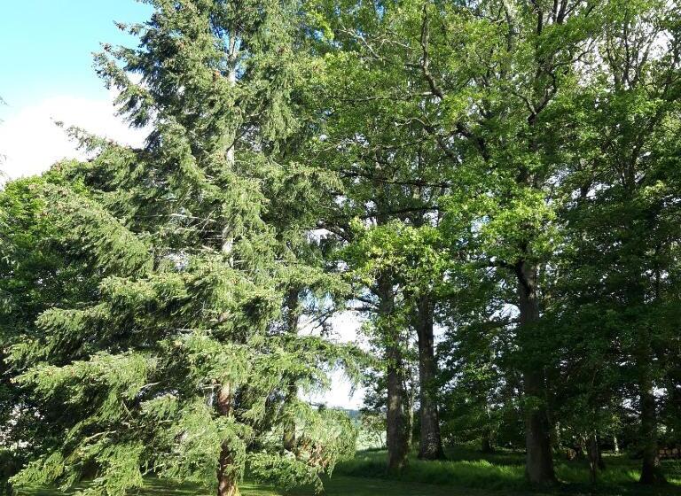 민박 L Eden Proche Du Zoo De Beauval De Saint Aignan