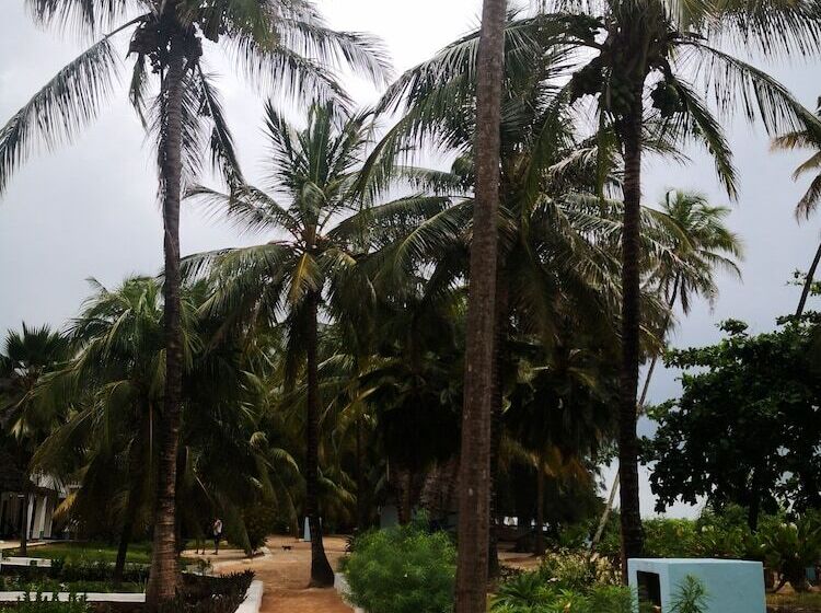 酒店 Mambo Beach Villas