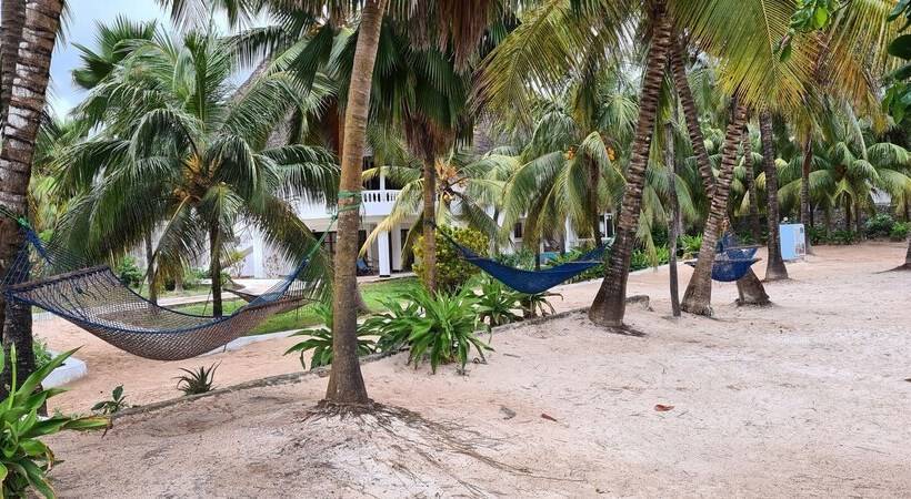 酒店 Mambo Beach Villas